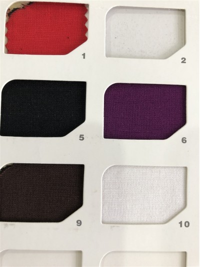 GZ-LTTG 32S人棉拉架打雞布 DG0143 330G 正面照